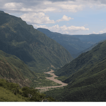 Afbeelding uploaden naar galerij, Café Colombia Bio - Santander, Colombia