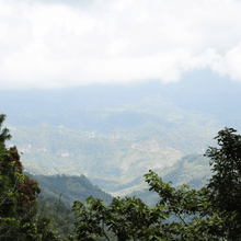 Upload afbeelding naar galerij, Café Santa Fé Decaf - Chiapas, Mexico