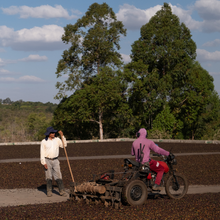 Afbeelding uploaden naar galerij, Café Brazilië