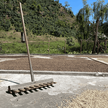 Upload afbeelding naar galerij, Café La Esperanza - Antigua, Guatemala