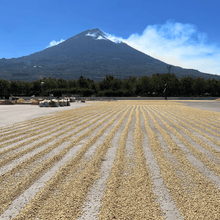 Upload afbeelding naar galerij, Café La Esperanza - Antigua, Guatemala