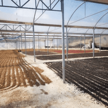 Upload afbeelding naar galerij, Café Canela del Fuego - Tarrazú, Costa Rica
